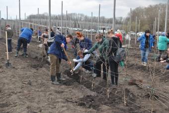 Заложен яблоневый сад в честь 70-летия Курской ГСХА